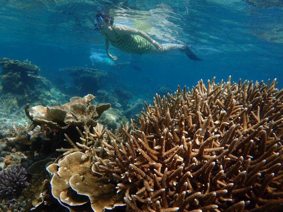 Ayu Hotel Karimunjawa Eksteriør billede