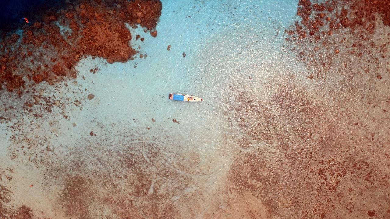 Ayu Hotel Karimunjawa Eksteriør billede